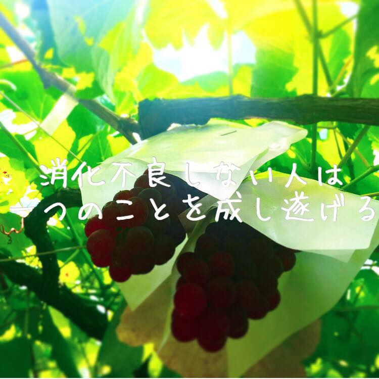 消化不良をしない人