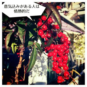 意気込みがある人