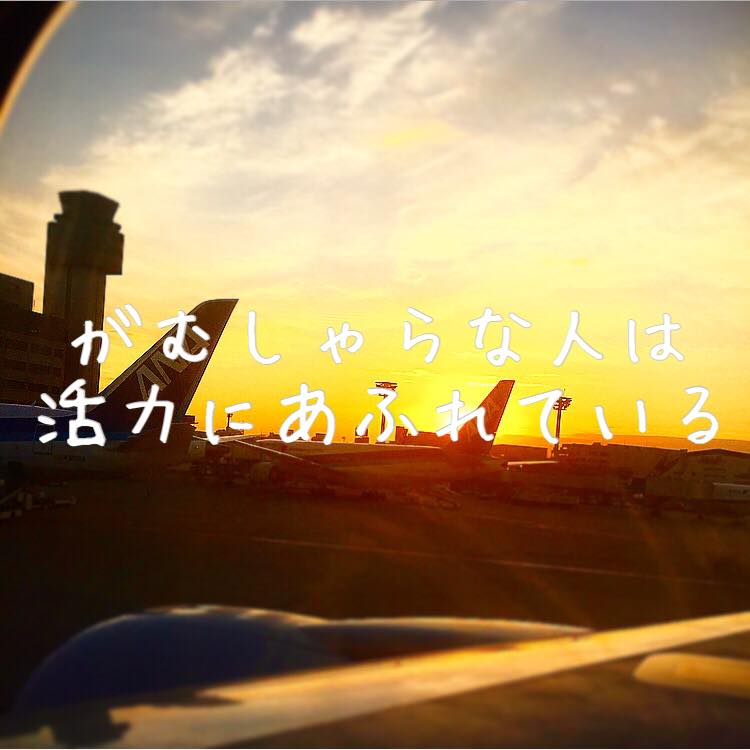 がむしゃらな人2