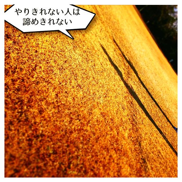 やりきれない人２