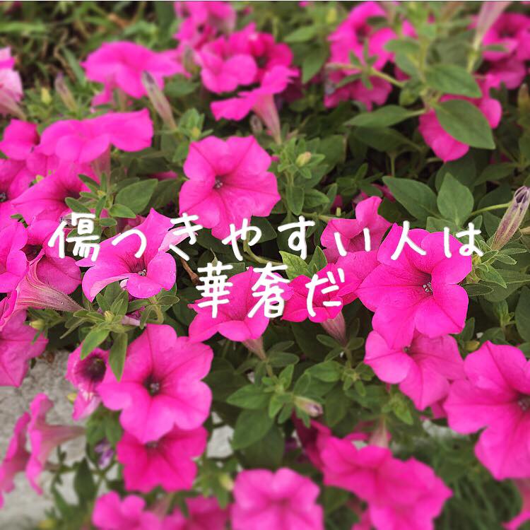 傷つきやすい人