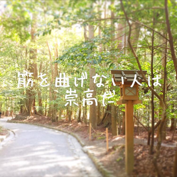 筋を曲げない人