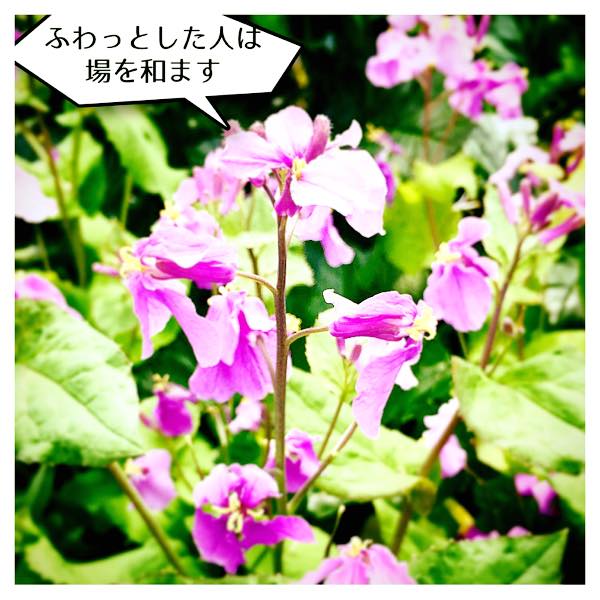 ふわっとした人