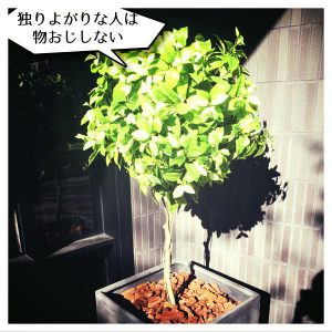 独りよがりな人3