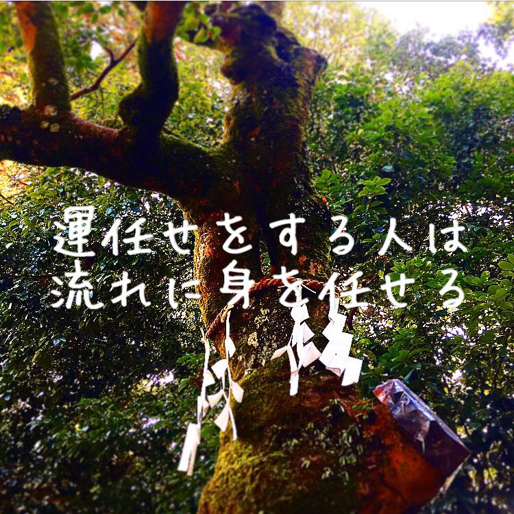 運任せをする人