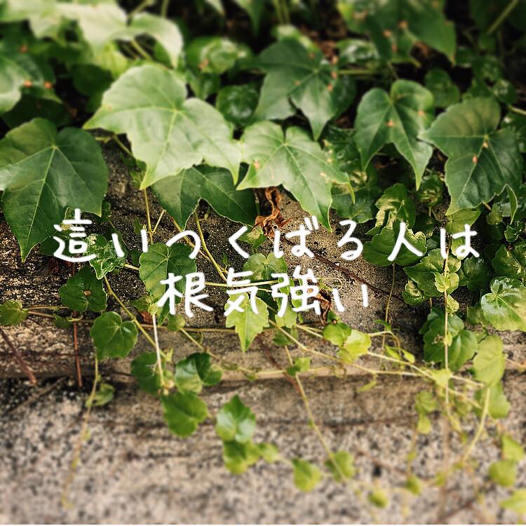 這いつくばる人