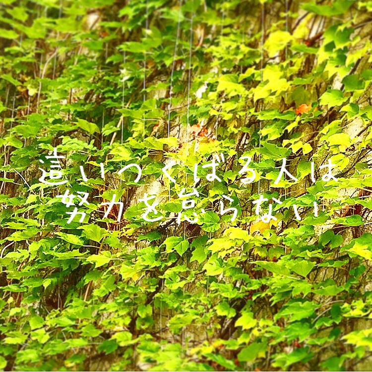 這いつくばる人