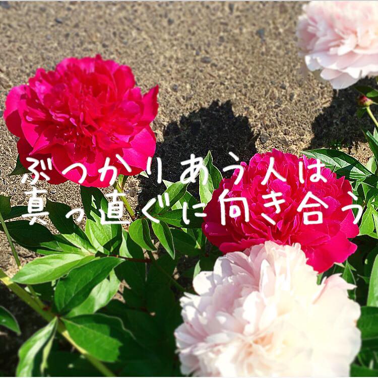 ぶつかりあう人