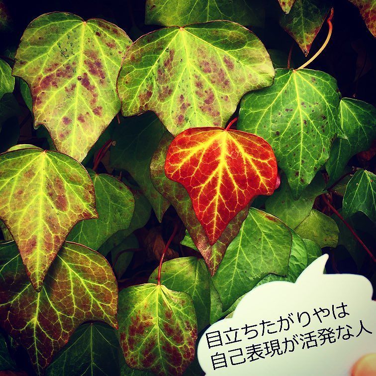 目立ちたがり屋な人