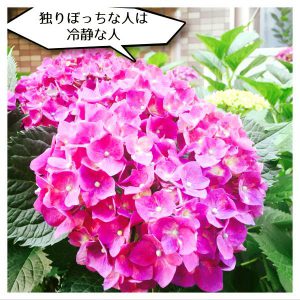 独りぼっちな人2