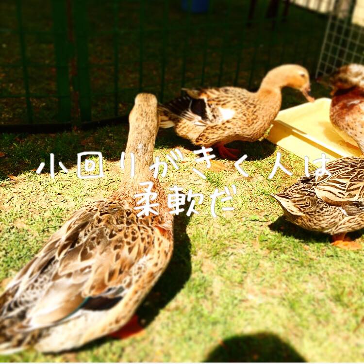 小回りがきく人