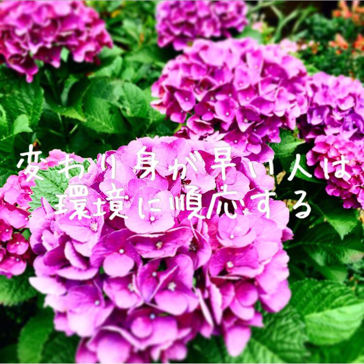 変わり身が早い人