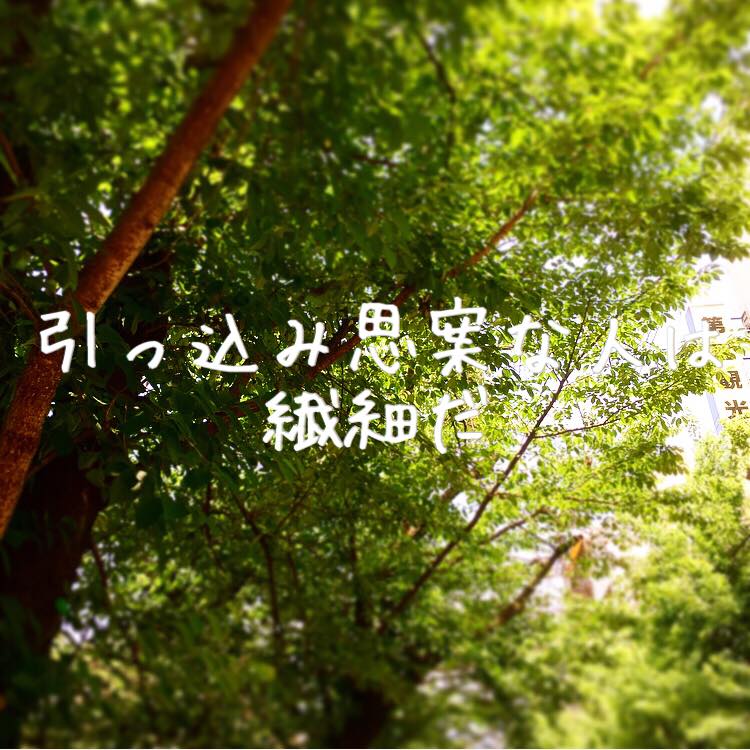 引っ込み思案な人2