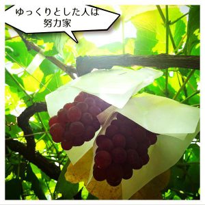 ゆっくりとした人