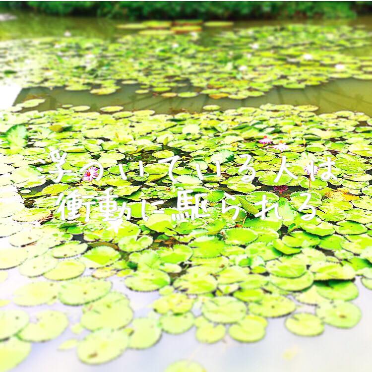 浮ついている人