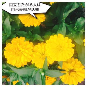 目立ちたがる人