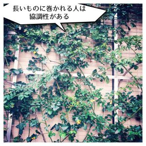 長いものに巻かれる人