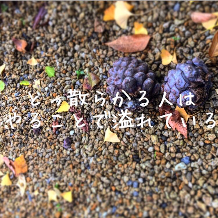 とっ散らかる人