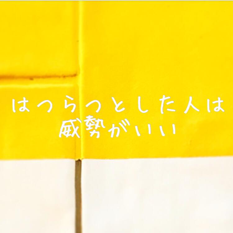 はつらつとした人